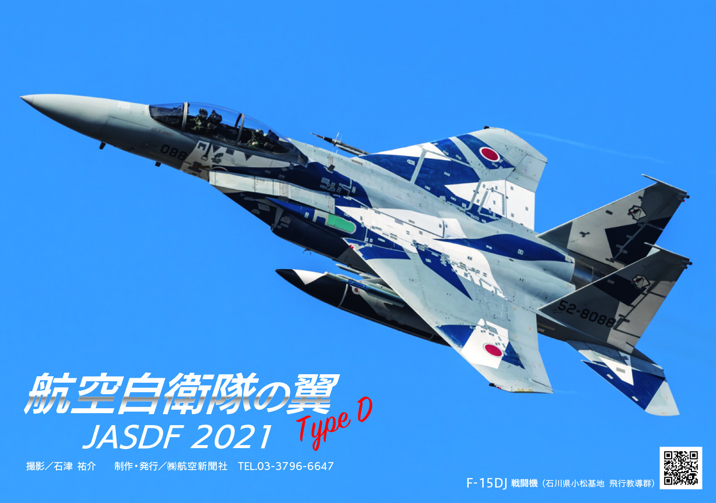 航空自衛隊の翼_Type D