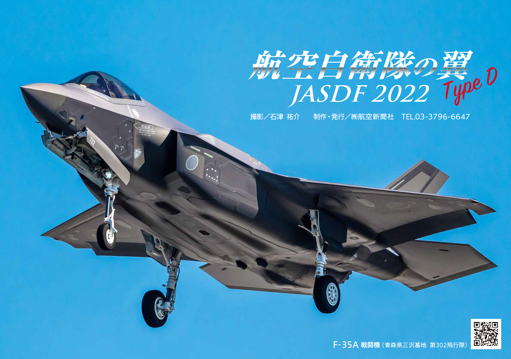 航空自衛隊の翼_Type D