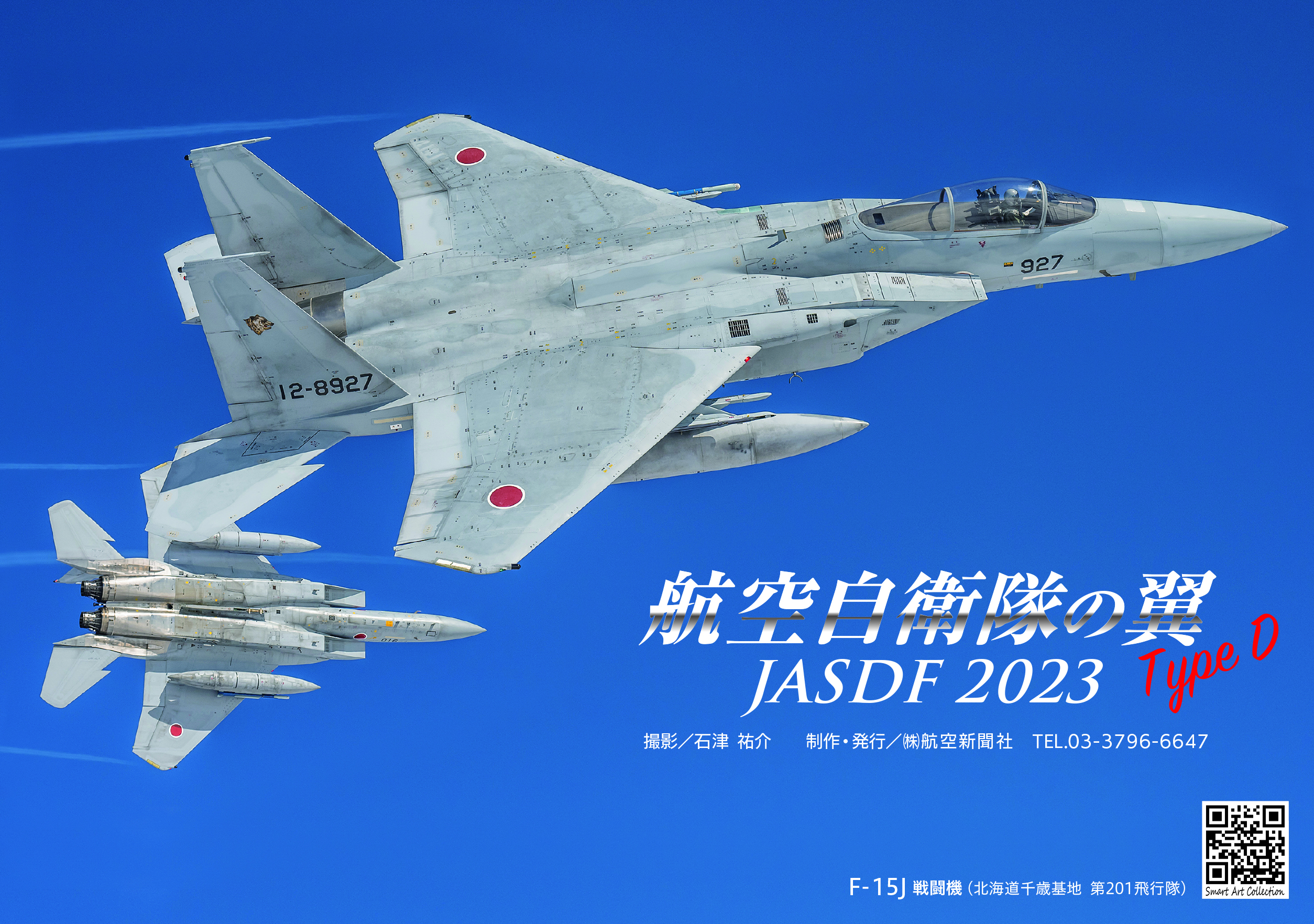 航空自衛隊の翼_Type D