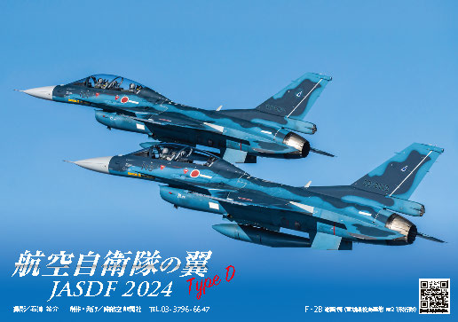 航空自衛隊の翼JASDF　Type D